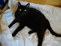 IMGP4641.webp