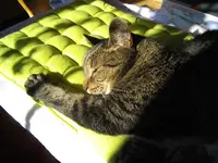 IMGP4640.webp