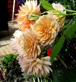 IMG_8699.webp IMG_8699.webp