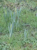 IMG_0923.webp