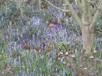 IMG_0936.jpg