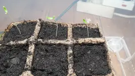 20180202_165912.webp