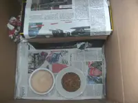 BILD8828.webp BILD8828.webp