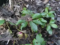 BILD8825.webp BILD8825.webp