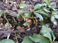 BILD8826.webp BILD8826.webp