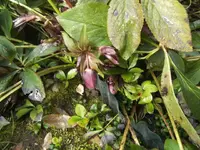 BILD8827.webp BILD8827.webp