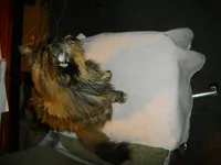 IMGP5756.webp
