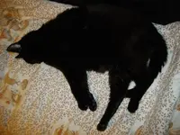 IMGP5754.webp