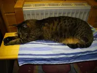 IMGP5755.webp