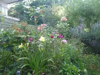 P1060785.webp P1060785.webp