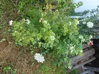 P1060710.webp P1060710.webp