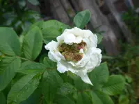 P1060713.webp P1060713.webp