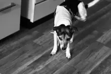 _MG_1276.webp _MG_1276.webp