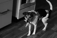 _MG_1275.webp _MG_1275.webp