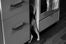 _MG_1269.webp _MG_1269.webp