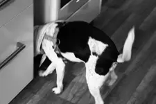 _MG_1267.webp _MG_1267.webp