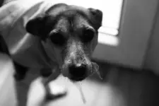 _MG_1265.webp _MG_1265.webp