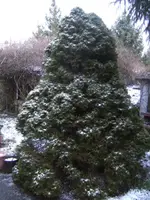 BILD8831.webp BILD8831.webp