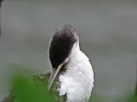 IMG_4719 - Copy.webp IMG_4719 - Copy.webp