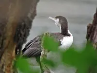 IMG_4720 - Copy.webp IMG_4720 - Copy.webp