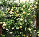 IMG_2654-002.webp IMG_2654-002.webp