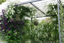 Rosentempel0116.jpg