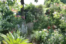 IMG_3425.webp IMG_3425.webp