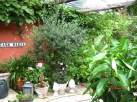 IMG_8169.webp IMG_8169.webp