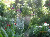 IMG_8210.webp IMG_8210.webp