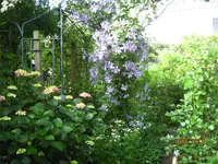 IMG_8288.webp IMG_8288.webp