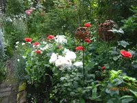 IMG_8299.webp IMG_8299.webp