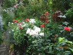 IMG_8299.JPG