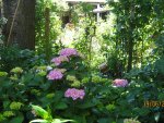 IMG_8349.JPG