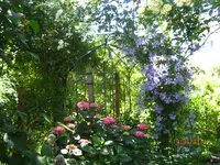 IMG_8350.webp IMG_8350.webp