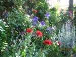 IMG_8373.JPG