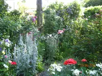 IMG_8374.webp IMG_8374.webp