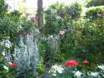 IMG_8374.JPG