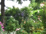 IMG_8444.JPG