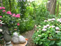 IMG_8490.webp IMG_8490.webp