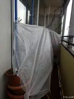 c042.webp