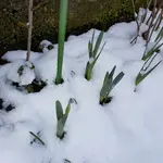 20180204_141559_001.jpg