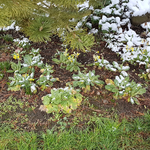 20180204_143256.webp 20180204_143256.webp