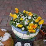 20180204_141753.jpg