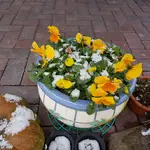 20180204_141753.webp 20180204_141753.webp