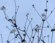image003.webp