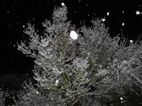 P1120812.webp