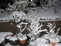 P1120813.webp