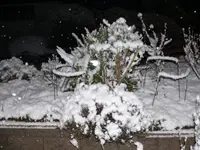 P1120814.webp