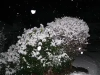 P1120816.webp