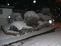 P1120817.webp